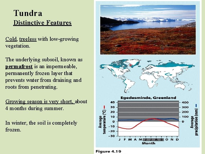 Tundra Distinctive Features Cold, treeless with low-growing vegetation. The underlying subsoil, known as permafrost