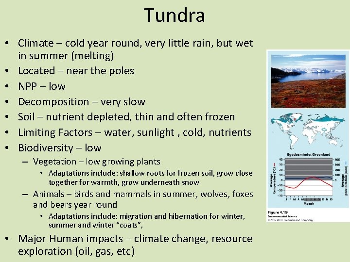 Tundra • Climate – cold year round, very little rain, but wet in summer