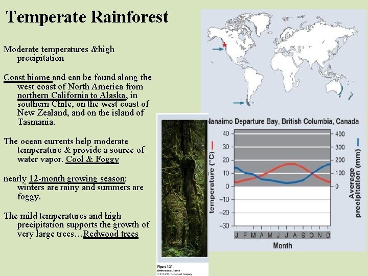 Temperate Rainforest Moderate temperatures &high precipitation Coast biome and can be found along the