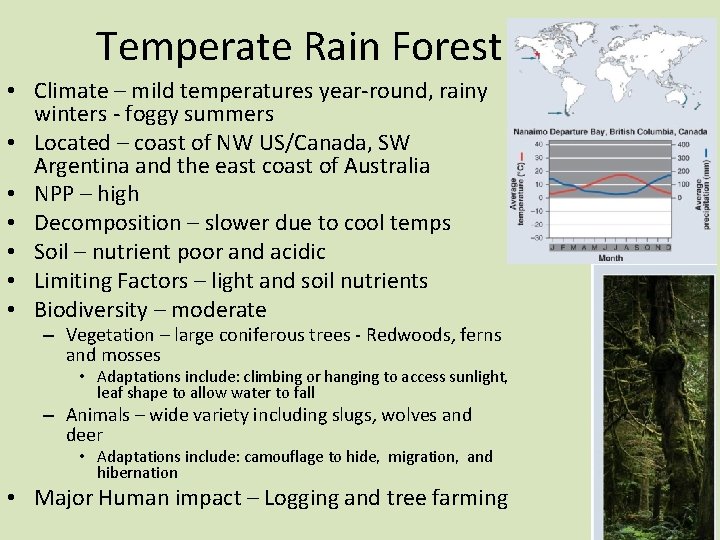Temperate Rain Forest • Climate – mild temperatures year-round, rainy winters - foggy summers