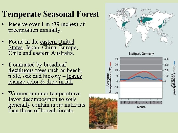 Temperate Seasonal Forest • Receive over 1 m (39 inches) of precipitation annually. •