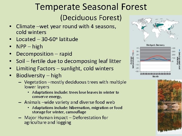 Temperate Seasonal Forest (Deciduous Forest) • Climate –wet year round with 4 seasons, cold
