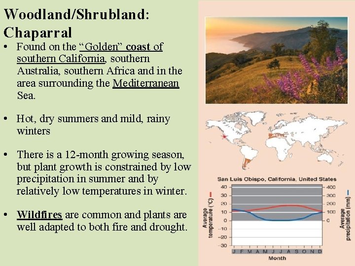 Woodland/Shrubland: Chaparral • Found on the “Golden” coast of southern California, southern Australia, southern