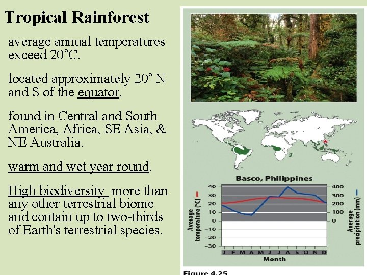 Tropical Rainforest average annual temperatures exceed 20˚C. located approximately 20˚ N and S of