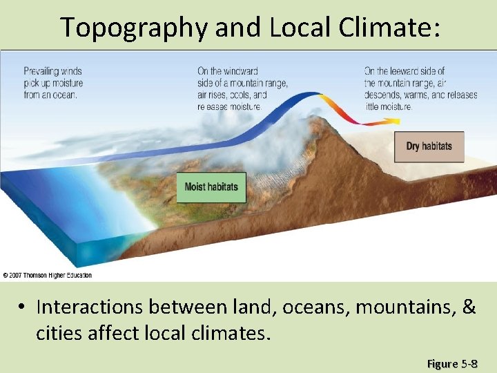 Topography and Local Climate: • Interactions between land, oceans, mountains, & cities affect local