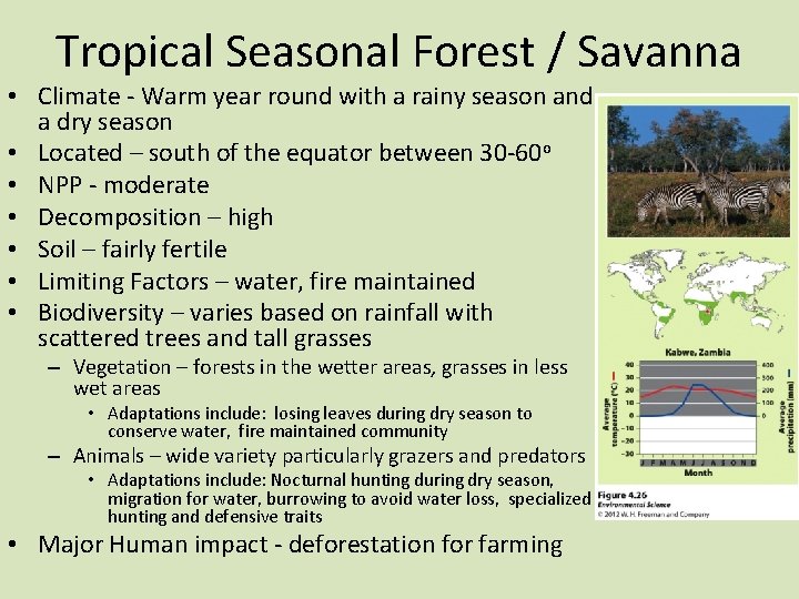 Tropical Seasonal Forest / Savanna • Climate - Warm year round with a rainy