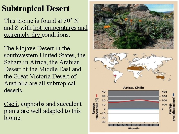 Subtropical Desert This biome is found at 30˚ N and S with hot temperatures