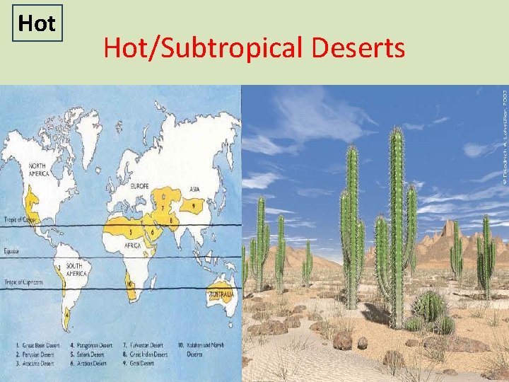 Hot Hot/Subtropical Deserts 