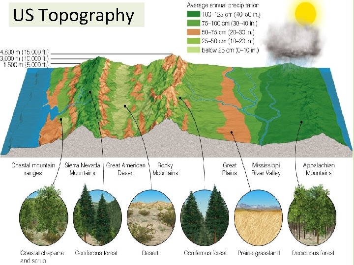 US Topography 