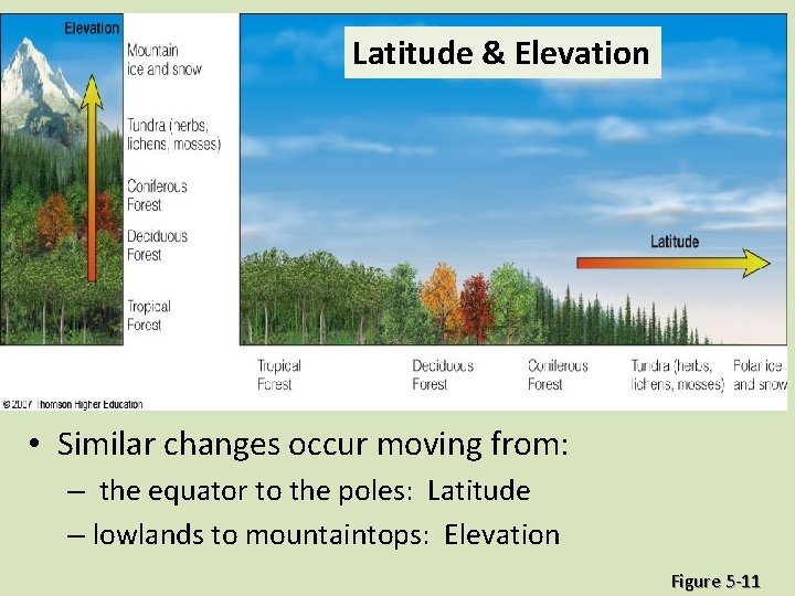 Latitude & Elevation • Similar changes occur moving from: – the equator to the