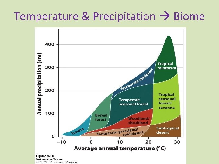 Temperature & Precipitation Biome 