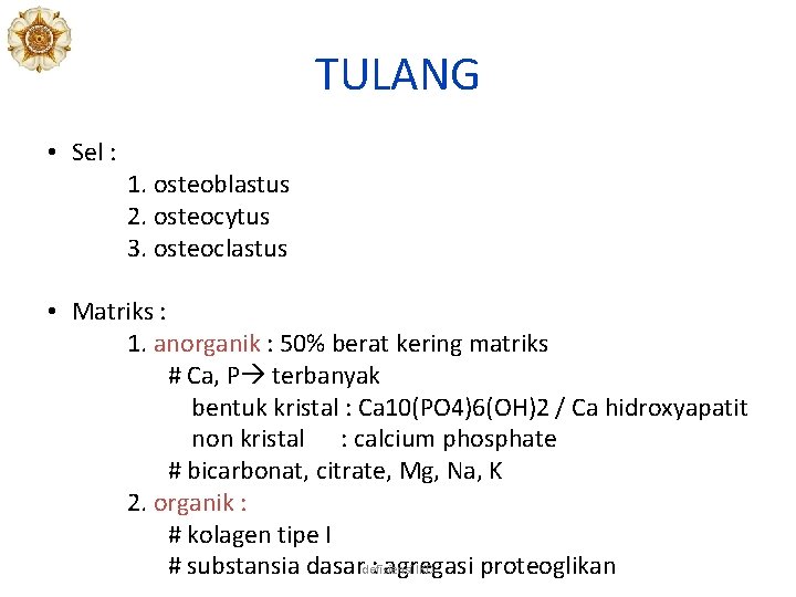 TULANG • Sel : 1. osteoblastus 2. osteocytus 3. osteoclastus • Matriks : 1.