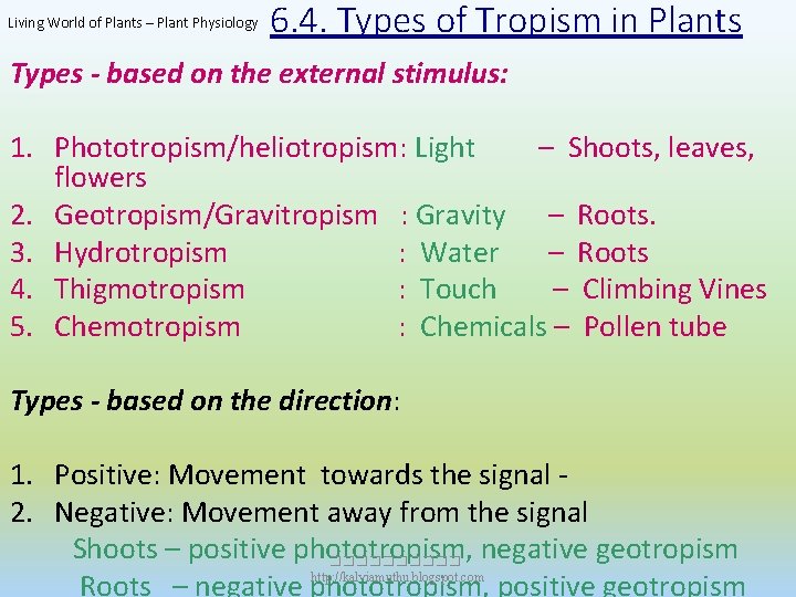 Living World of Plants – Plant Physiology 6. 4. Types of Tropism in Plants
