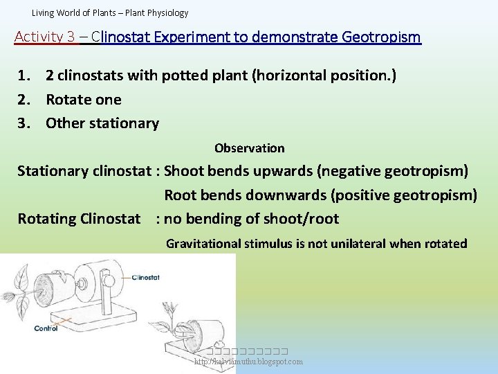 Living World of Plants – Plant Physiology Activity 3 – Clinostat Experiment to demonstrate