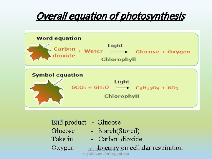 Overall equation of photosynthesis End product - Glucose - Starch(Stored) Take in - Carbon