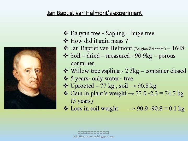 Jan Baptist van Helmont’s experiment v Banyan tree - Sapling – huge tree. v