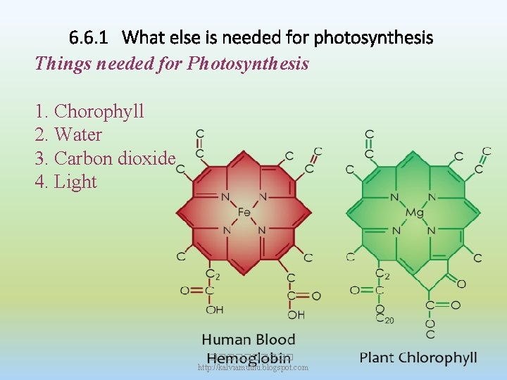 6. 6. 1 What else is needed for photosynthesis Things needed for Photosynthesis 1.