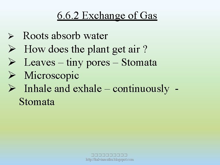 6. 6. 2 Exchange of Gas Roots absorb water Ø How does the plant