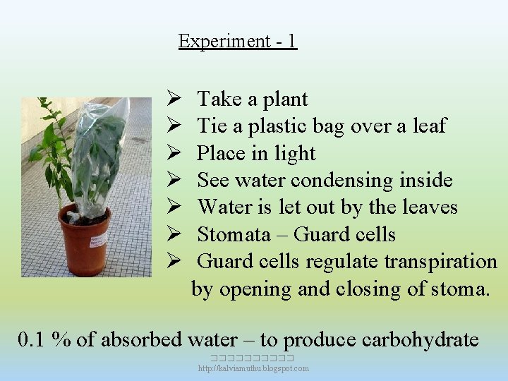 Experiment - 1 Ø Ø Ø Ø Take a plant Tie a plastic bag Experiment - 1 Ø Ø Ø Ø Take a plant Tie a plastic bag