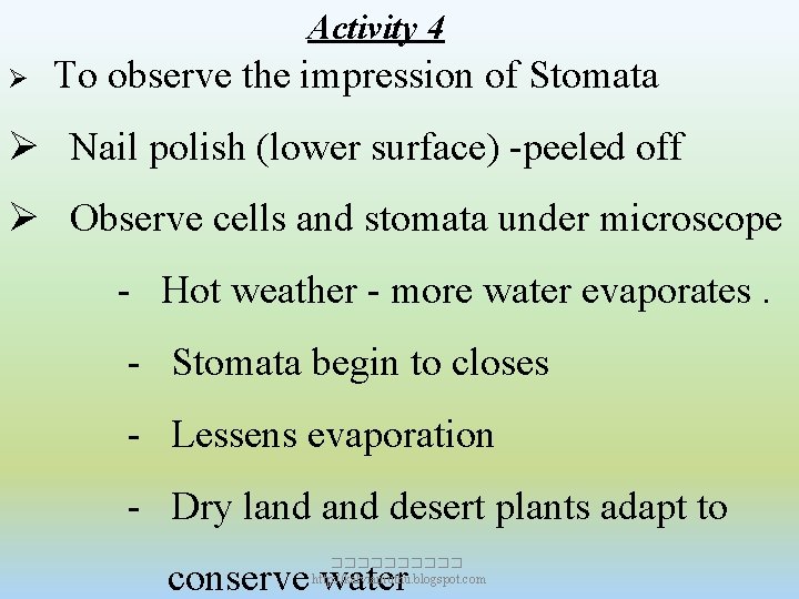 Activity 4 Ø To observe the impression of Stomata Ø Nail polish (lower surface)
