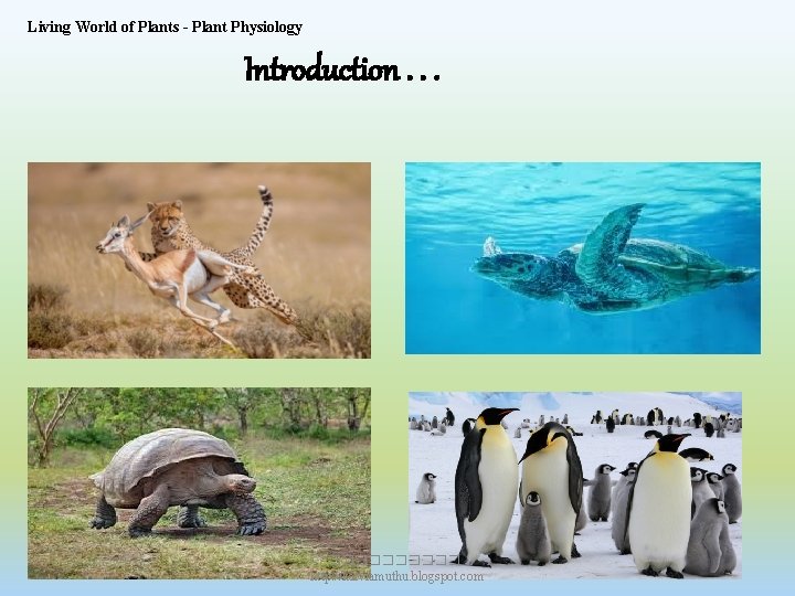 Living World of Plants - Plant Physiology Introduction. . . ����� http: //kalviamuthu. blogspot.