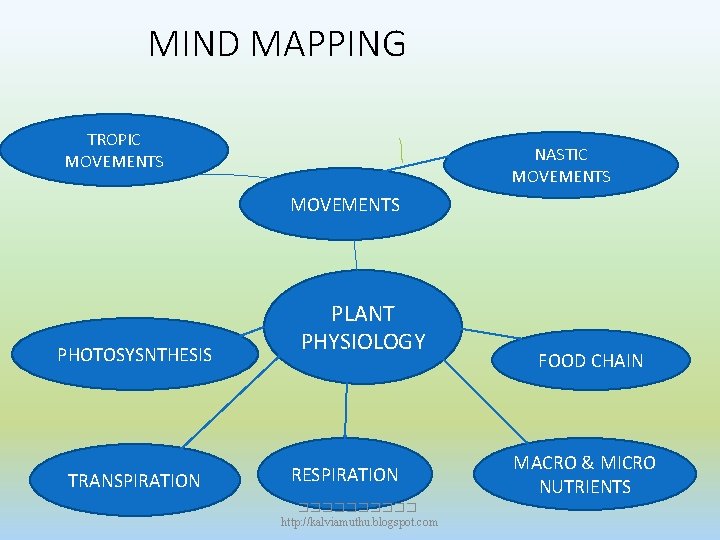 MIND MAPPING TROPIC MOVEMENTS NASTIC MOVEMENTS PHOTOSYSNTHESIS TRANSPIRATION PLANT PHYSIOLOGY RESPIRATION ����� http: //kalviamuthu. MIND MAPPING TROPIC MOVEMENTS NASTIC MOVEMENTS PHOTOSYSNTHESIS TRANSPIRATION PLANT PHYSIOLOGY RESPIRATION ����� http: //kalviamuthu.