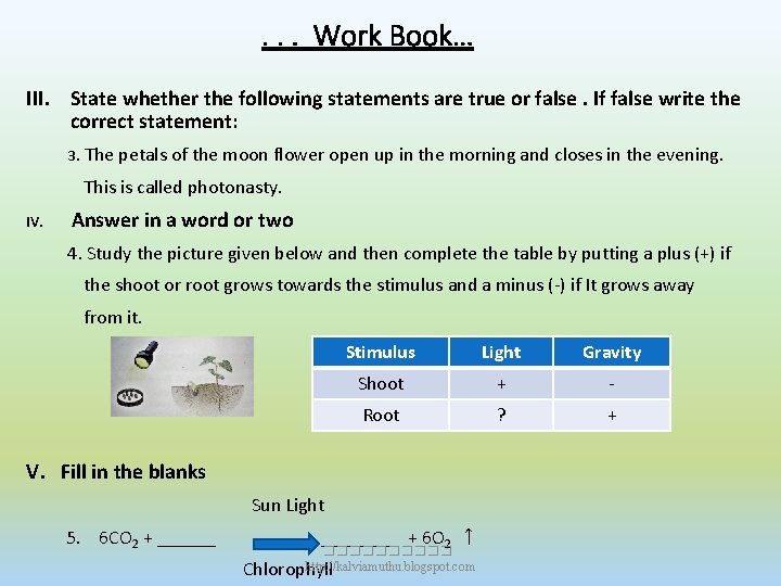 . . . Work Book… III. State whether the following statements are true or . . . Work Book… III. State whether the following statements are true or