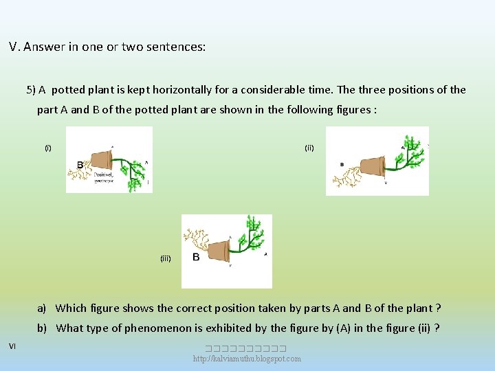 V. Answer in one or two sentences: 5) A potted plant is kept horizontally