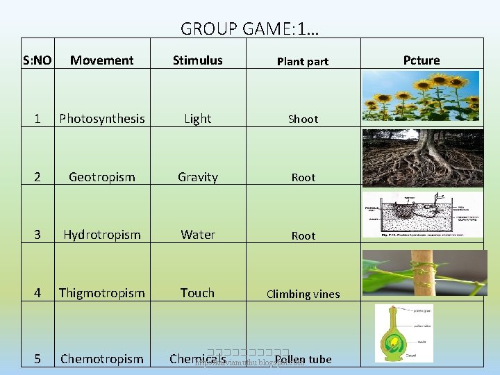 GROUP GAME: 1… S: NO Movement Stimulus Plant part 1 Photosynthesis Light Shoot 2