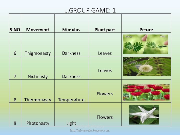 …GROUP GAME: 1 S: NO Movement Stimulus Plant part Pcture 6 Thigmonasty Darkness Leaves …GROUP GAME: 1 S: NO Movement Stimulus Plant part Pcture 6 Thigmonasty Darkness Leaves