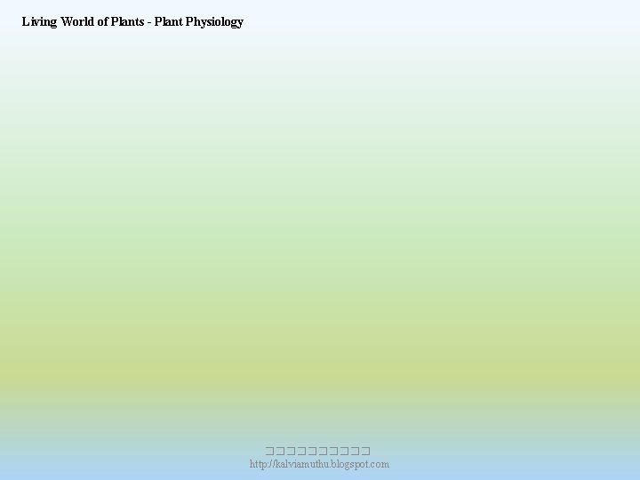 Living World of Plants - Plant Physiology ����� http: //kalviamuthu. blogspot. com Living World of Plants - Plant Physiology ����� http: //kalviamuthu. blogspot. com