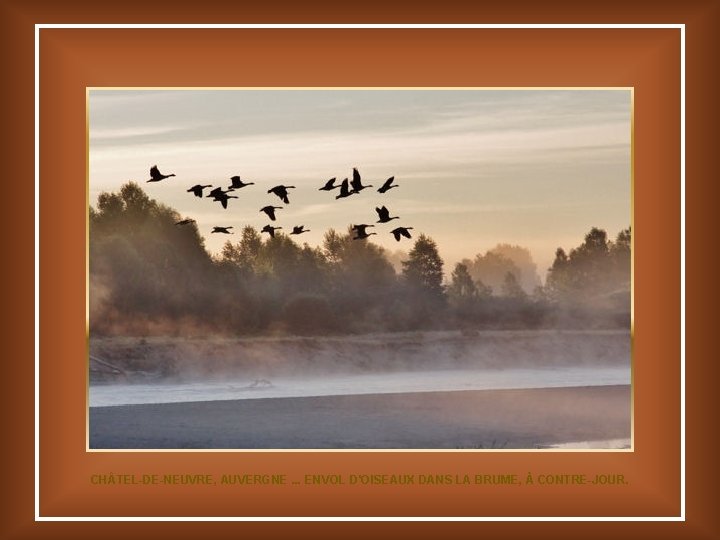 CH TEL-DE-NEUVRE, AUVERGNE. . . ENVOL D'OISEAUX DANS LA BRUME, À CONTRE-JOUR. 