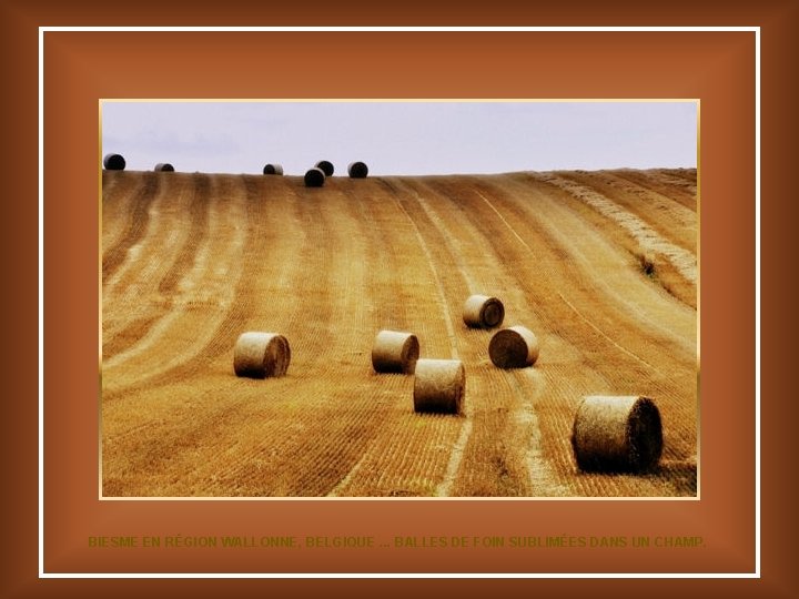 BIESME EN RÉGION WALLONNE, BELGIQUE. . . BALLES DE FOIN SUBLIMÉES DANS UN CHAMP.