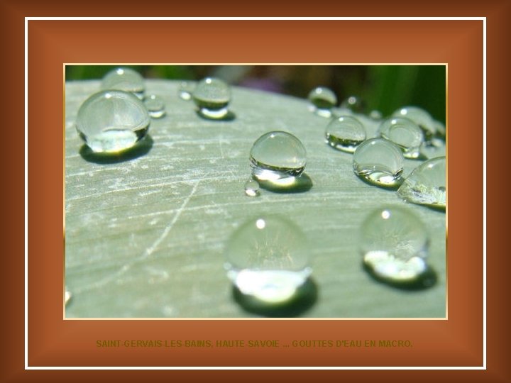 SAINT-GERVAIS-LES-BAINS, HAUTE-SAVOIE. . . GOUTTES D'EAU EN MACRO. 