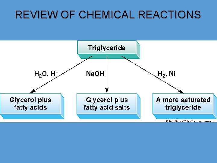 REVIEW OF CHEMICAL REACTIONS 
