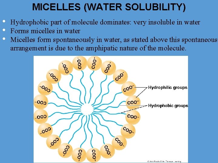 MICELLES (WATER SOLUBILITY) • • • Hydrophobic part of molecule dominates: very insoluble in