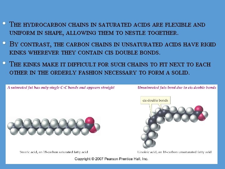  • THE HYDROCARBON CHAINS IN SATURATED ACIDS ARE FLEXIBLE AND UNIFORM IN SHAPE,