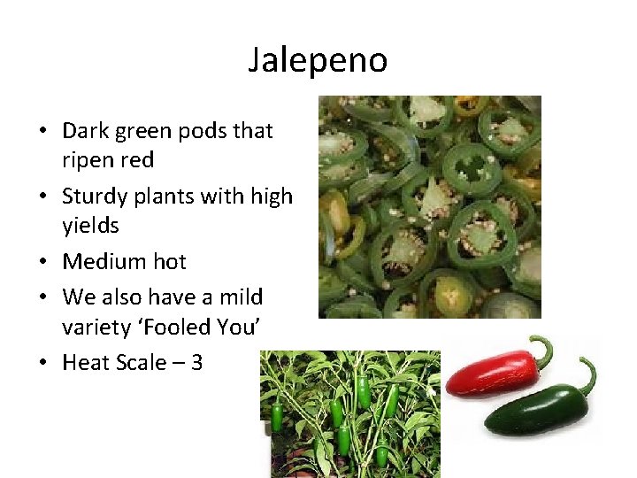 Jalepeno • Dark green pods that ripen red • Sturdy plants with high yields