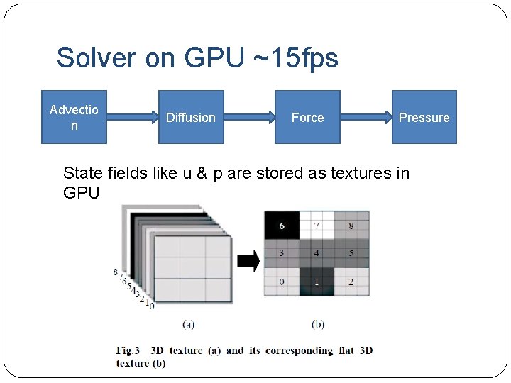 Solver on GPU ~15 fps Advectio n Diffusion Force Pressure State fields like u