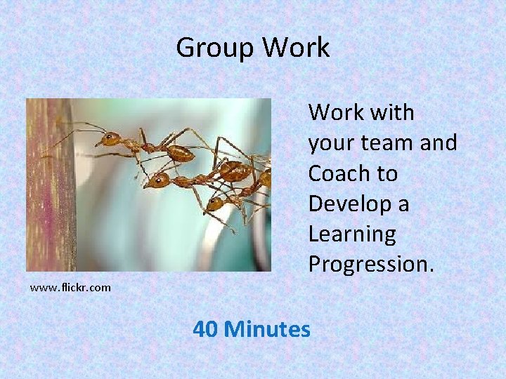 Group Work with your team and Coach to Develop a Learning Progression. www. flickr.