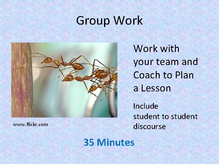 Group Work with your team and Coach to Plan a Lesson www. flickr. com