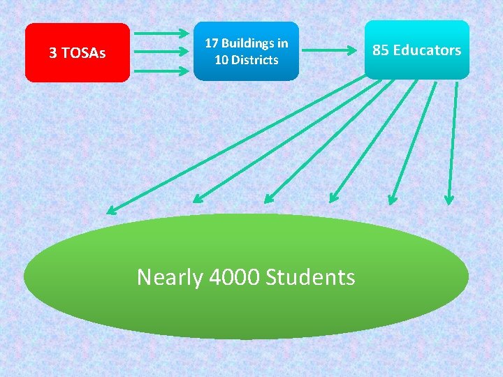 3 TOSAs 17 Buildings in 10 Districts Nearly 4000 Students 85 Educators 