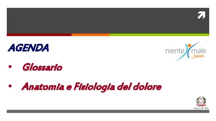 AGENDA • Glossario • Anatomia e Fisiologia del dolore 