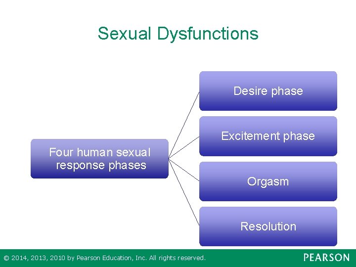 Sexual Dysfunctions Desire phase Excitement phase Four human sexual response phases Orgasm Resolution ©