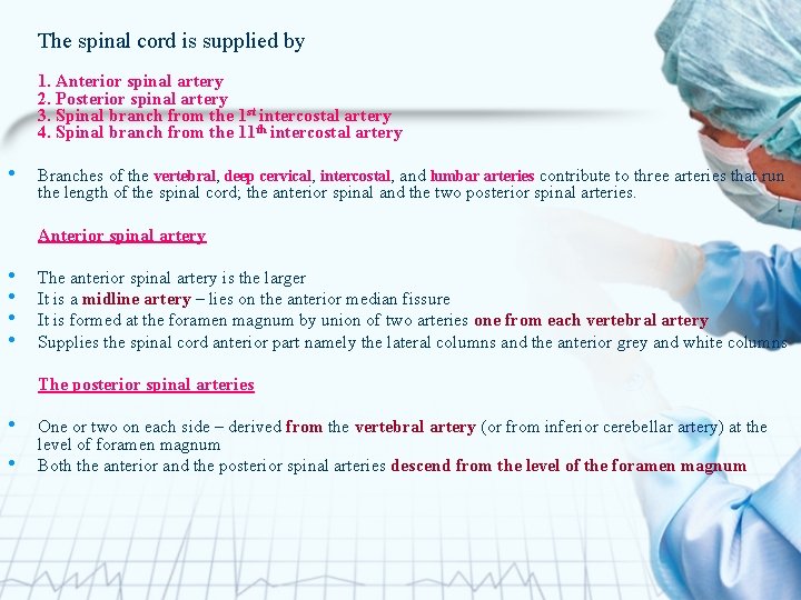 The spinal cord is supplied by 1. Anterior spinal artery 2. Posterior spinal artery