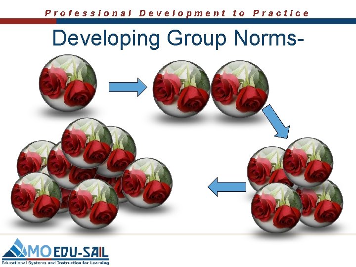 Professional Development to Practice Developing Group Norms- 