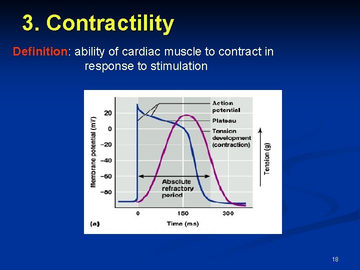 3. Contractility Definition: ability of cardiac muscle to contract in response to stimulation 18