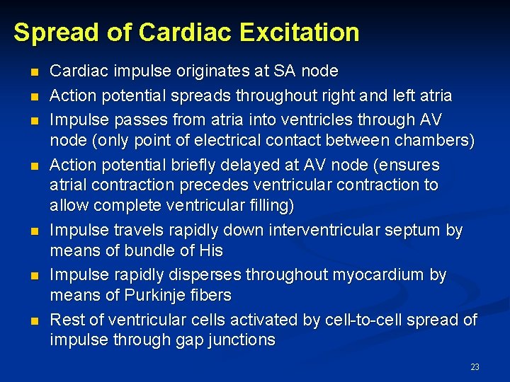 Spread of Cardiac Excitation n n n Cardiac impulse originates at SA node Action