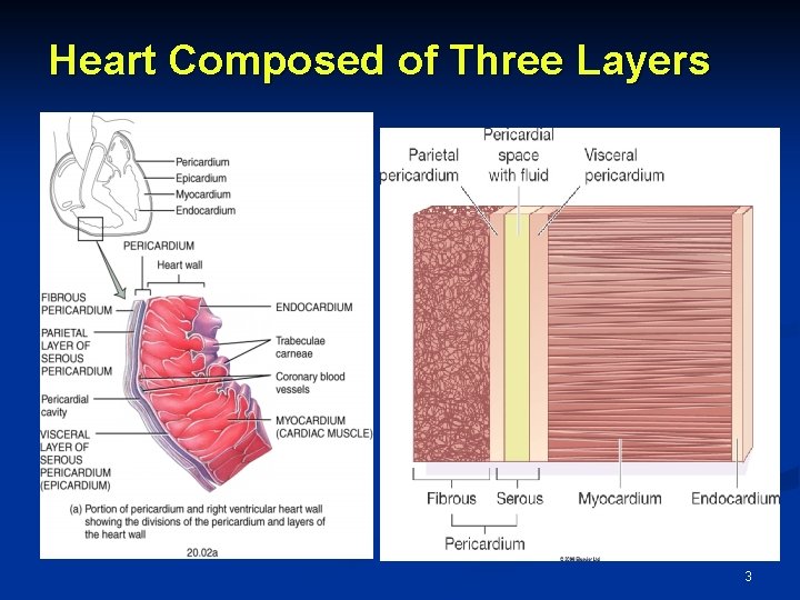 Heart Composed of Three Layers 3 