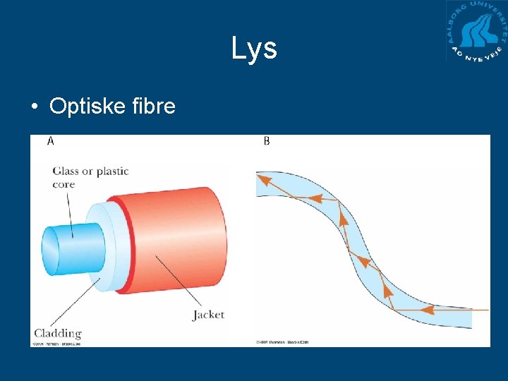 Lys • Optiske fibre 